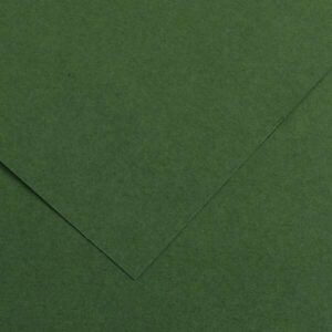 Canson Guarro Pack de 25 Cartulinas Iris de 185g - 50x65cm - Color Verde Amazonas