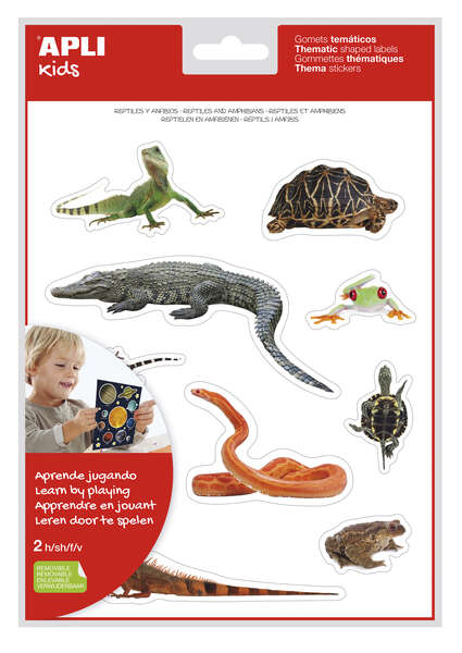 Apli Gomets Tematicos Realistas de Reptiles y Anfibios - 20 Gomets - Imagenes Realistas para Relacionar Animales - Adhesivo Removible - Adhesivo Base Agua - Libre de Disolventes - Descubre el Surtido