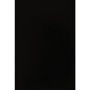 Fellowes Portafolio de Simil Piel Extra Rigido - Grosor 750G - Tamaño A3 - Ideal para Proteger Documentos y Obras de Arte