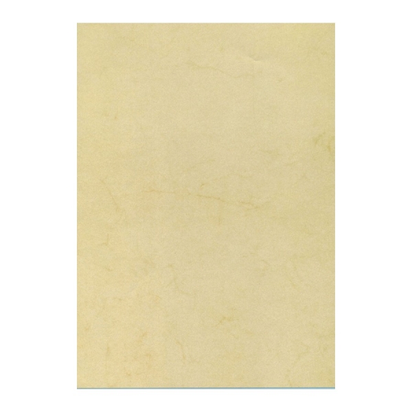 Apli Pack de 10 Hojas de Papel Textura Habana A4 - 200gr - Ideal para Invitaciones y Comunicaciones - Compatible con Impresoras Inkjet, Laser y Fotocopiadoras - Color Habana