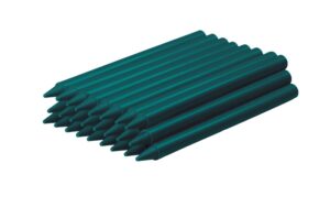 Jovi Plasticolor Estuche de 25 Ceras Plasticas - Resistentes - No Manchan - Agradable de Rayar - Acabado Brillante - Gran Duracion - Color Verde