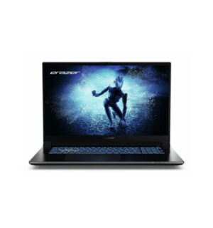 Medion Defender P50I Portatil 17" Intel Core i5 13420H - 16GB / 1TB SSD - RTX 4060 - USB-A, C, HDMI, RJ-45, Audio - Color Negro