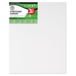 Daler Rowney Simply Pack de 3 Bastidores Entelados- 40x50cm - Imprimacion Triple - Grano Medio - 100% Algodon sin Acido - 250g - Color Blanco